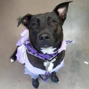 Meet your Posher, Sian